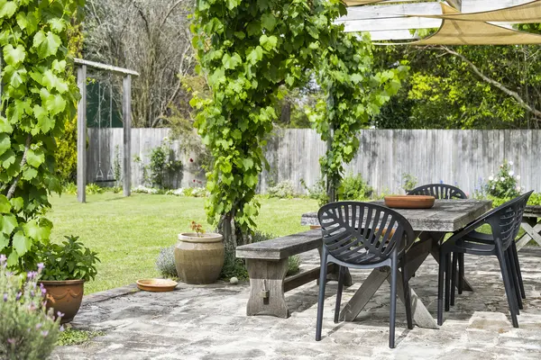 Patio and lawn